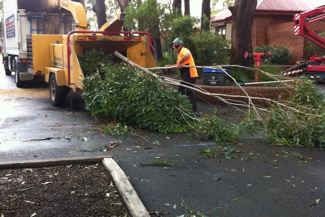 Groundsman feeding branches into a chipper at a commercial site