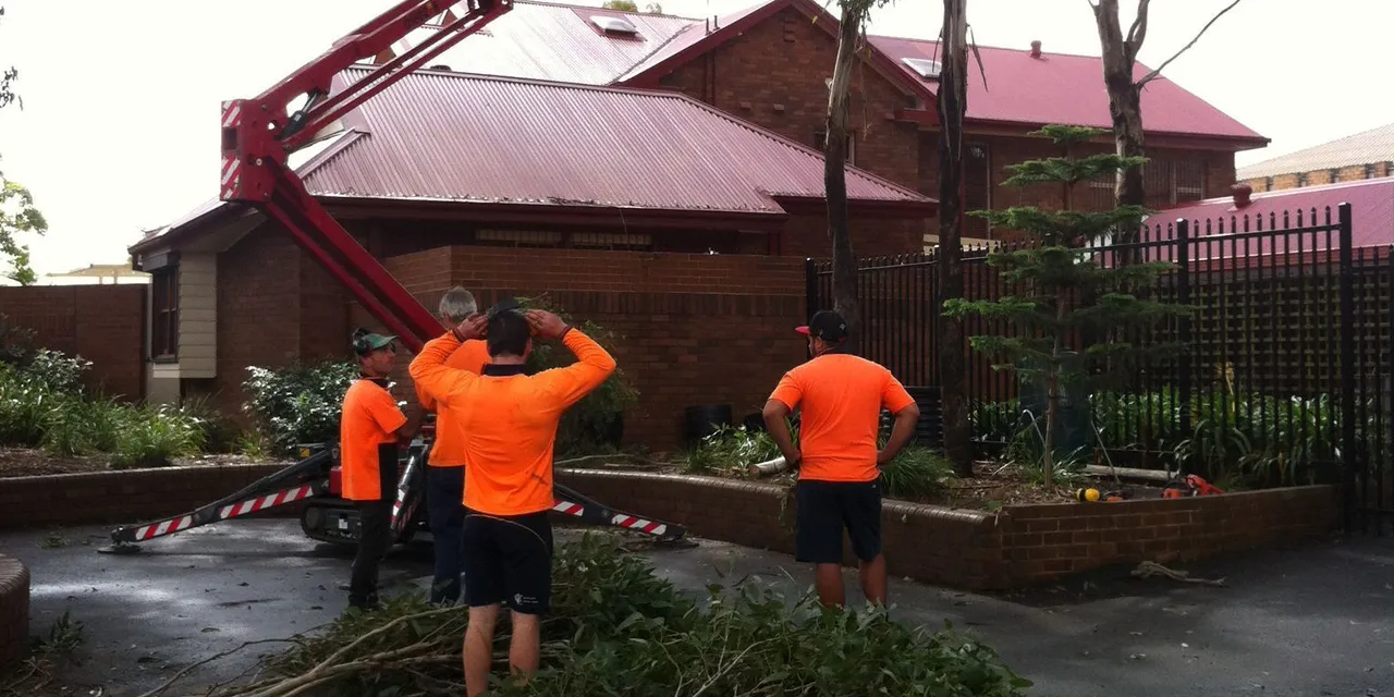 Crew with an elevated work platform pruning near a building